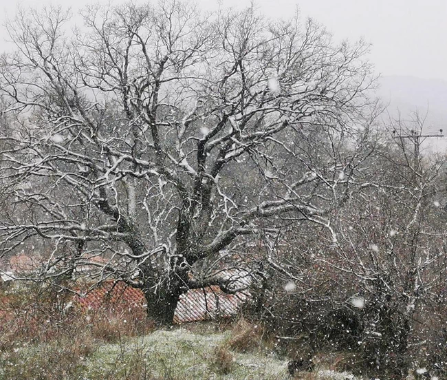 Θεσσαλονίκη χιόνι