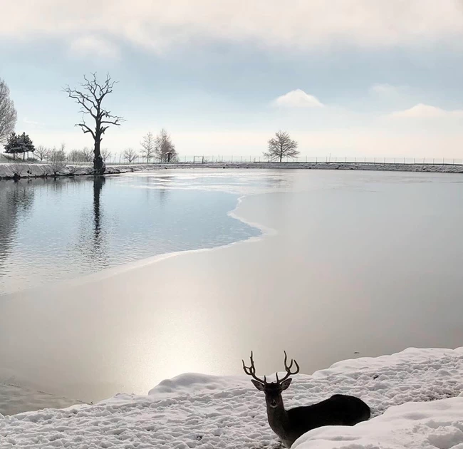Πέλλα Παναγίτσα