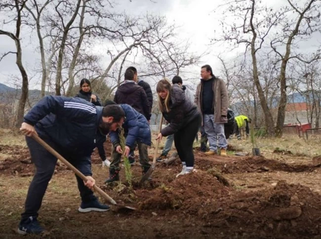 Τραγωδία στα Τέμπη: Φοιτητές από το Καρπενήσι φύτευσαν 57 κυπαρίσσια στη μνήμη των νεκρών