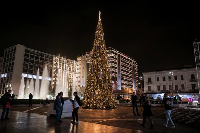 ΟΜΟΝΟΙΑ ΔΕΝΤΡΟ