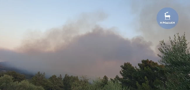 ΦΩΤΙΑ ΡΟΔΟΣ