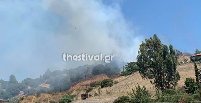 Σε εξέλιξη φωτιά σε δασική έκταση στη Νικητή Χαλκιδικής