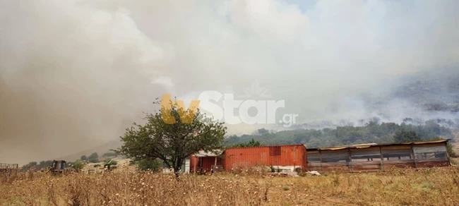 ΦΩΤΙΑ ΕΛΑΤΕΙΑ