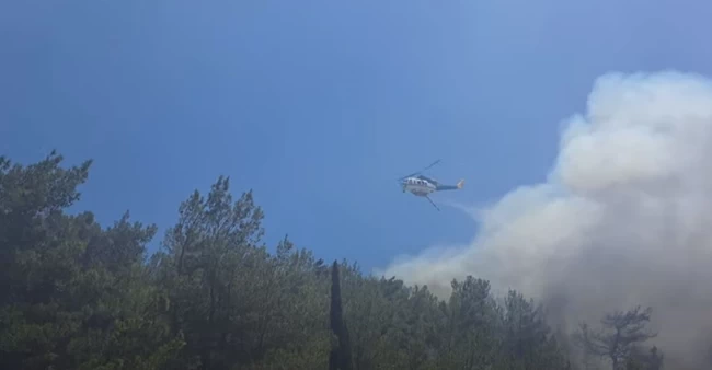 ΦΩΤΙΑ ΣΑΜΟΣ