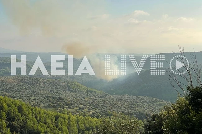 ΦΩΤΙΑ ΖΑΧΑΡΩ