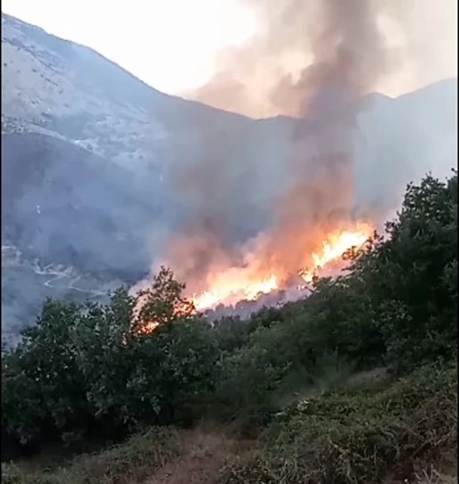 Κεφαλονιά: Υπεράνθρωπες προσπάθειες για τον έλεγχο της φωτιάς - Βελτιώνεται η εικόνα στα μέτωπα