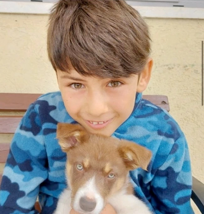 Eitan Yahalomi