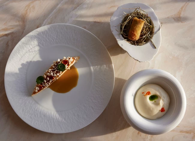 GASTRONOMY PROJECT