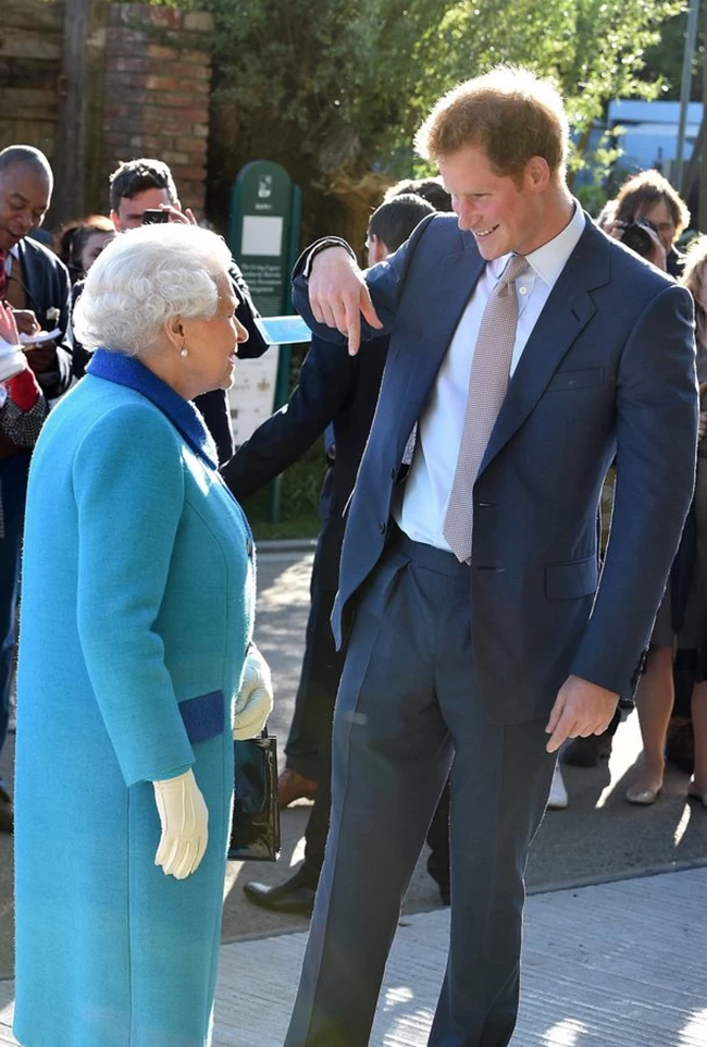 prince harry queen