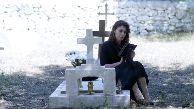 ΑΓΡΙΕΣ ΜΕΛΙΣΣΕΣ