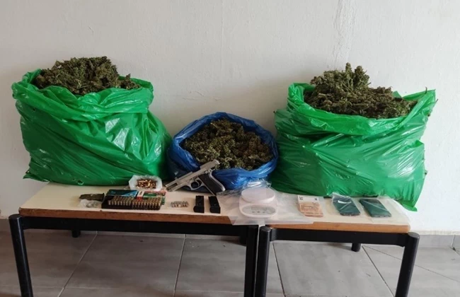 χασισ ζωνιανα