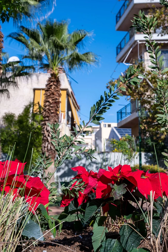 ΠΑΡΚΟ ΤΣΕΠΗΣ