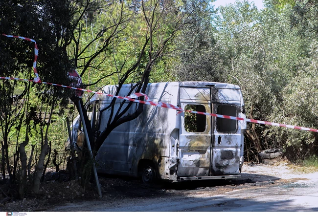 Γέρακας