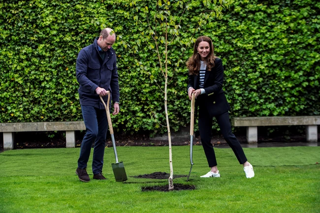 kate william