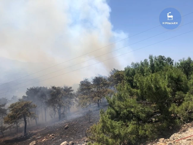 φωτια ροδος