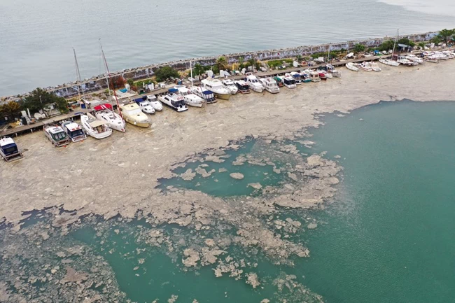 Τουρκία: Πλάνο...τριετίας για να καθαρίσει τη Θάλασσα του Μαρμαρά από την "θαλάσσια βλέννα"