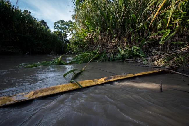 Αμαζόνιος: Νεκρός από βέλος στο στήθος ειδικός που προσπάθησε να πλησιάσει απομονωμένη φυλή