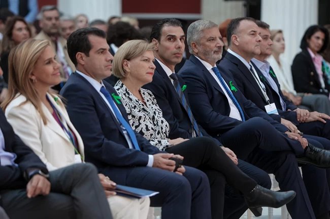 Πλεύρης