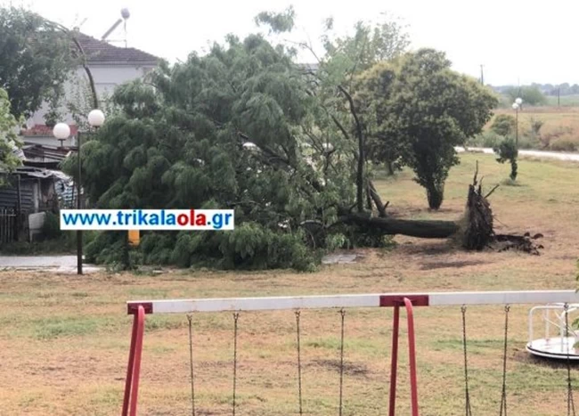 Τρίκαλα μπουρίνι