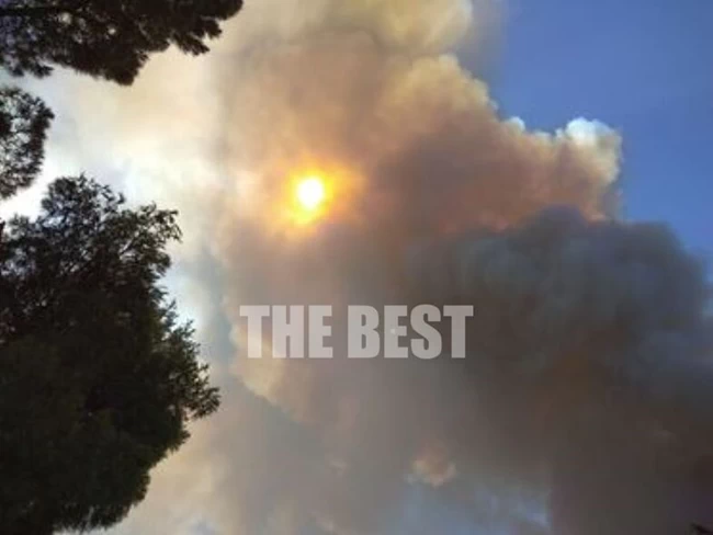 Μεγάλη πυρκαγιά στη Ζήρια Αχαϊας: Απειλούνται σπίτια στον οικισμό Καμάρες  - Απομακρύνονται οι κάτοικοι [Εικόνες]