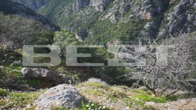 ζευγαρι