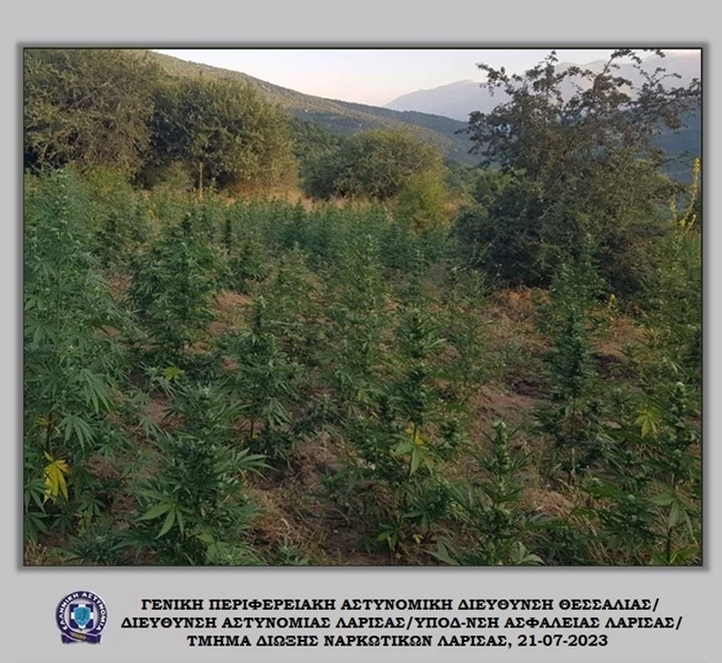 ΦΥΤΕΙΑ ΧΑΣΙΣ ΛΑΡΙΣΑ