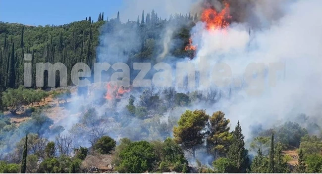 ΦΩΤΙΑ ΖΑΚΥΝΘΟΣ