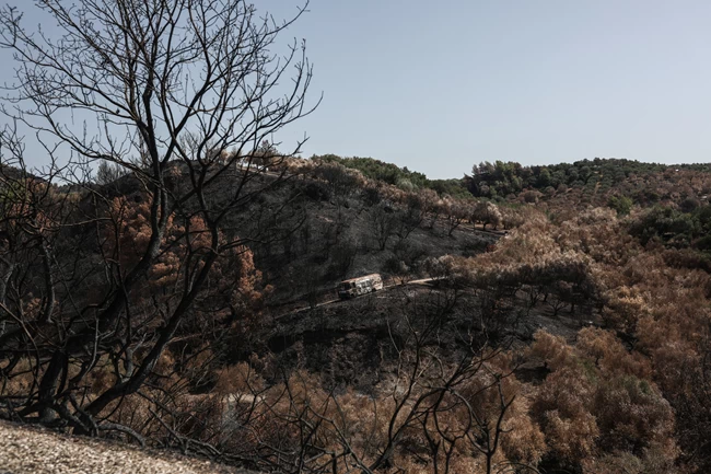 σακελλαροπουλου