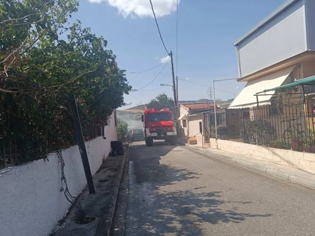 ΦΩΤΙΑ ΑΣΠΡΕΣ ΠΕΤΑΛΟΥΔΕΣ