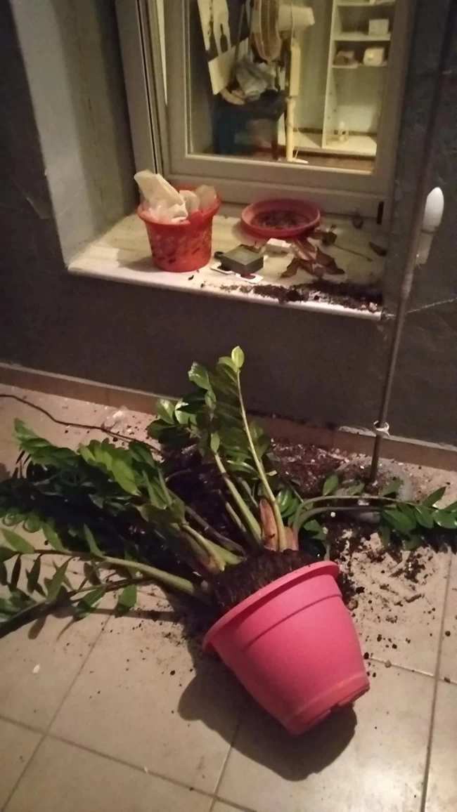 ΣΕΙΣΜΟΣ ΚΡΗΤΗ 2