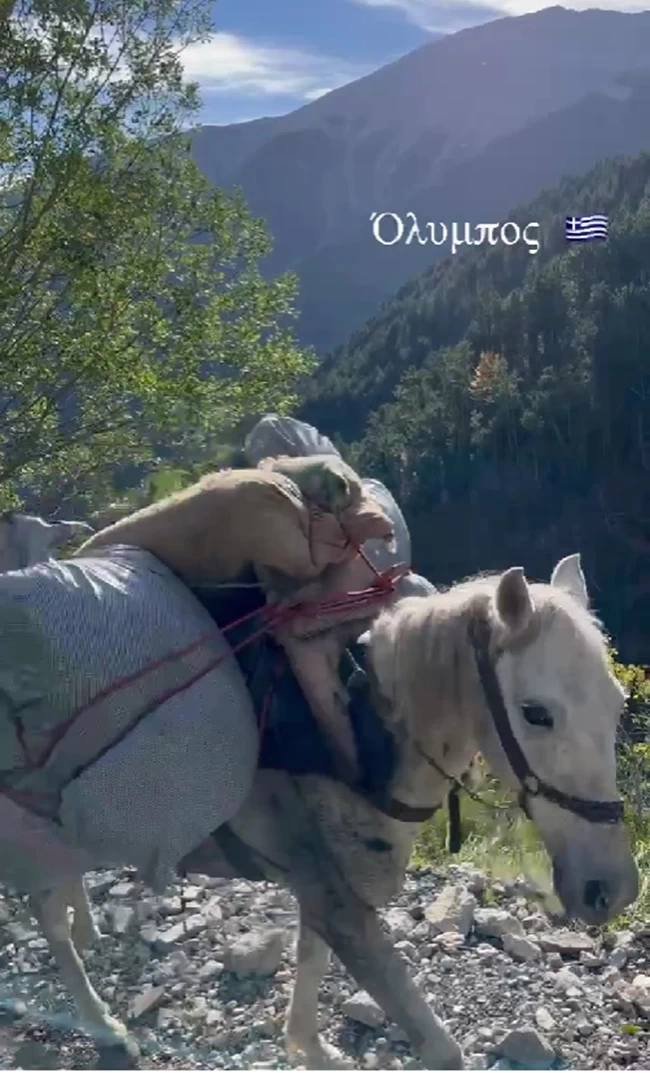 ολυμπος