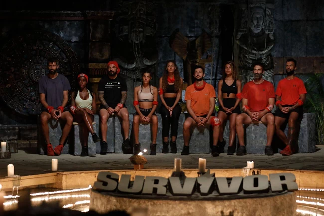 survivor