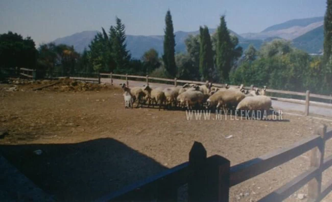 σκορπιος