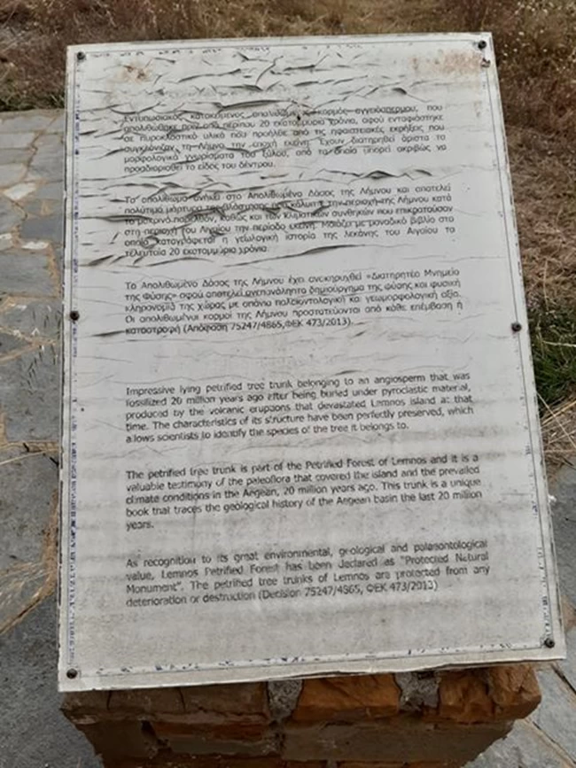 ΚΟΡΜΟΣ