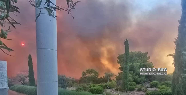 Αναζωπυρώθηκε η φωτιά στο Κρανίδι: Εκκενώθηκε ξενοδοχείο - Κίνδυνος από τις φιάλες υγραερίου στις εγκαταστάσεις του [εικόνες]