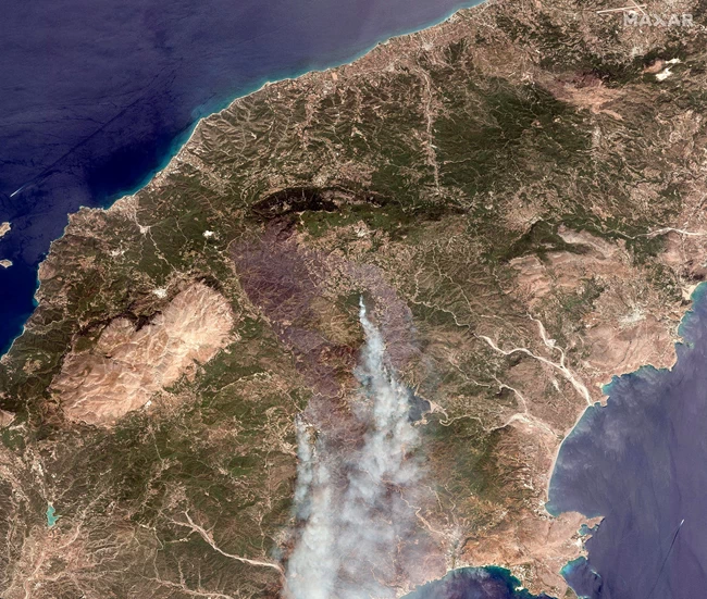 ΡΟΔΟΣ ΔΟΡΥΦΟΡΙΚΕΣ