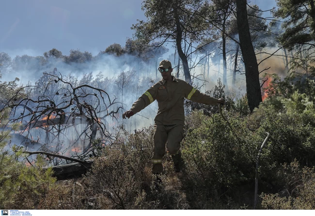 νεα μακρη