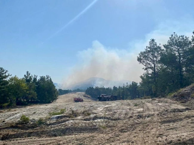 Φωτιά στον Έβρο: Συνεχείς οι αναζωπυρώσεις στη Δαδιά - Ελπίδες από τη βροχή Φωτιά στον Έβρο: Συνεχείς οι αναζωπυρώσεις στη Δαδιά - Ελπίδες από τη βροχή