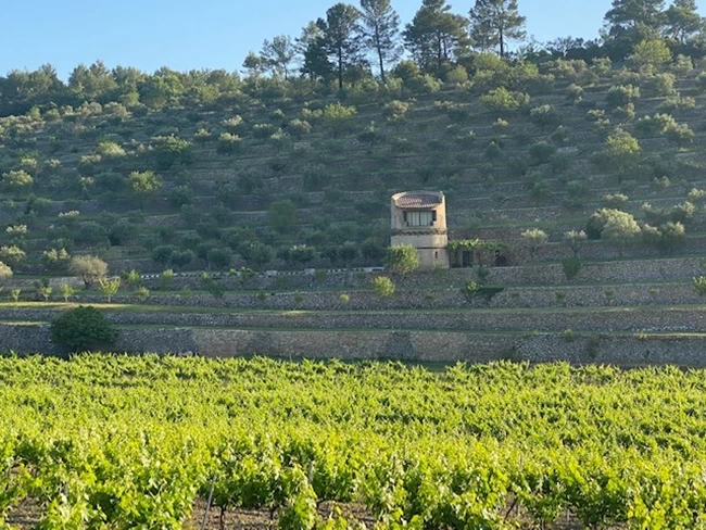 Chateau Miraval