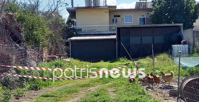 Έγκλημα στην Ανδραβίδα- Σοκ από την ιατροδικαστική έκθεση: Τα δυο μωρά πέθαναν από ασφυξία