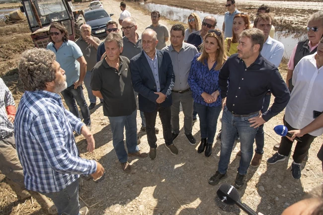 Ανδρουλακης