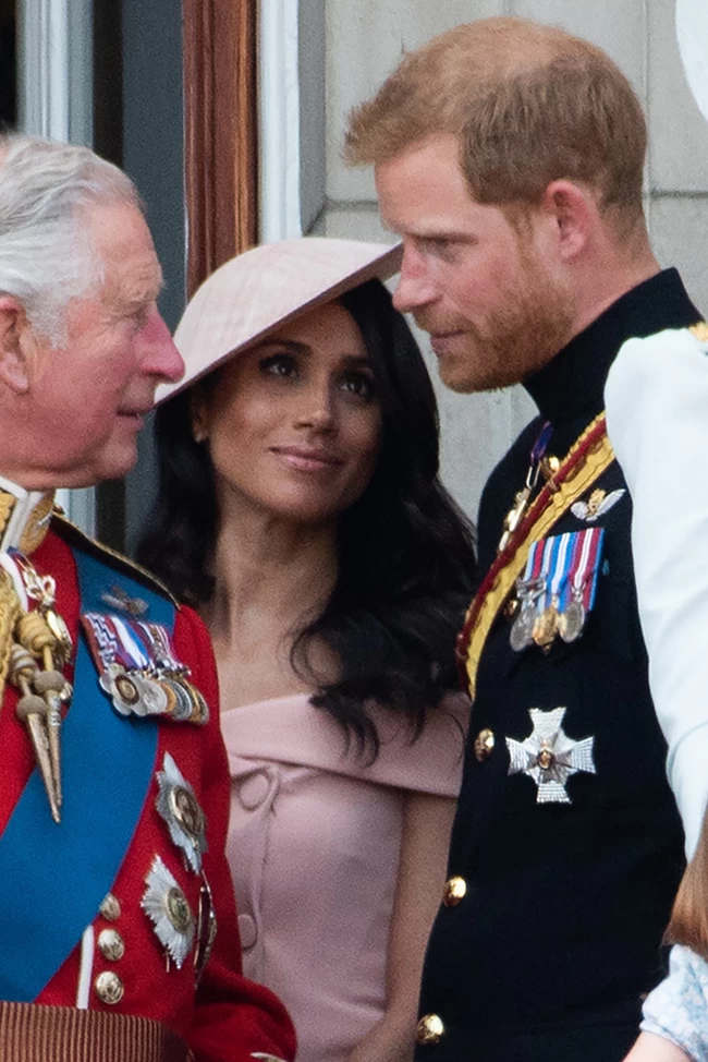 meghan markle charles harry