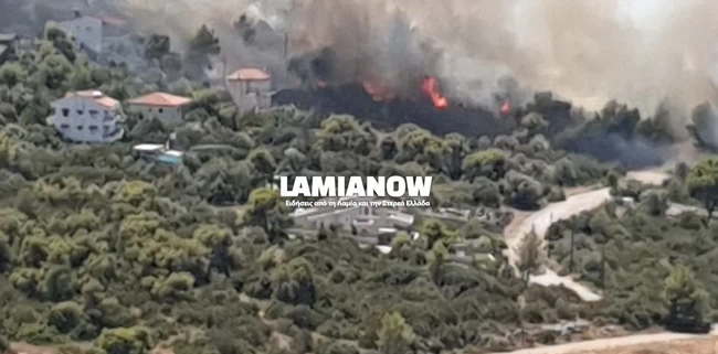 Φωτιά Θεολόγος