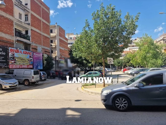 Λαμία ξύλο