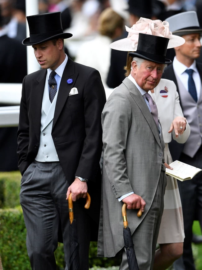 prince william prince charles