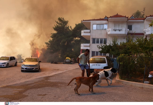 ΖΩΑ ΠΑΡΝΗΘΑ