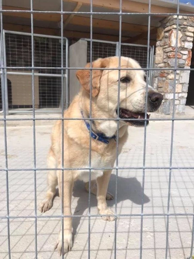 Καταφυγιο