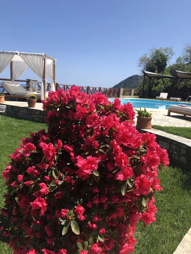 Agapitos Village Πήλιο