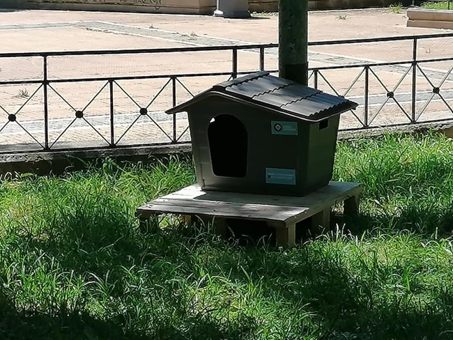 αδεσποτα