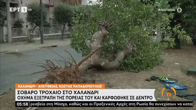 Τροχαίο - σοκ στο Χαλάνδρι: Νεκρός 18χρονος οδηγός ΙΧ - "Καρφώθηκε" σε δέντρο και το ξερίζωσε [βίντεο]